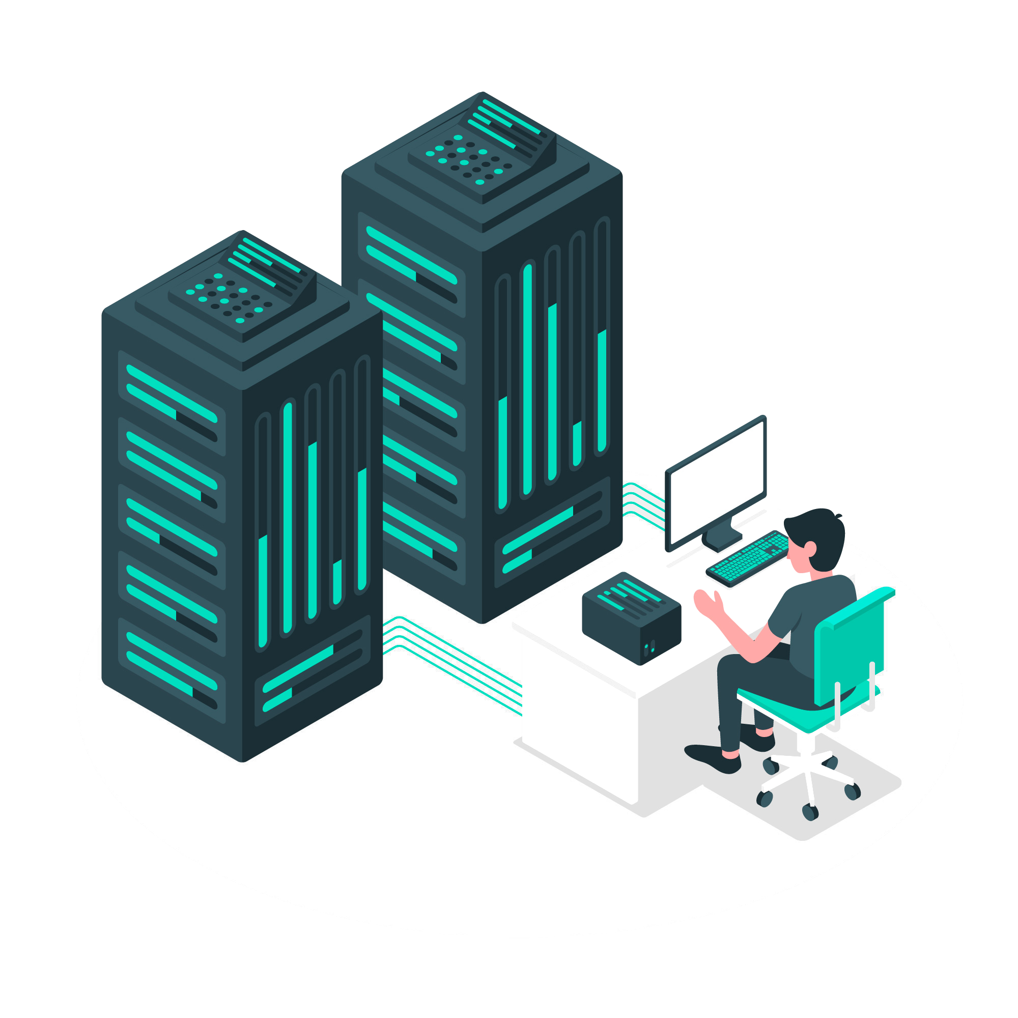 Web Hosting